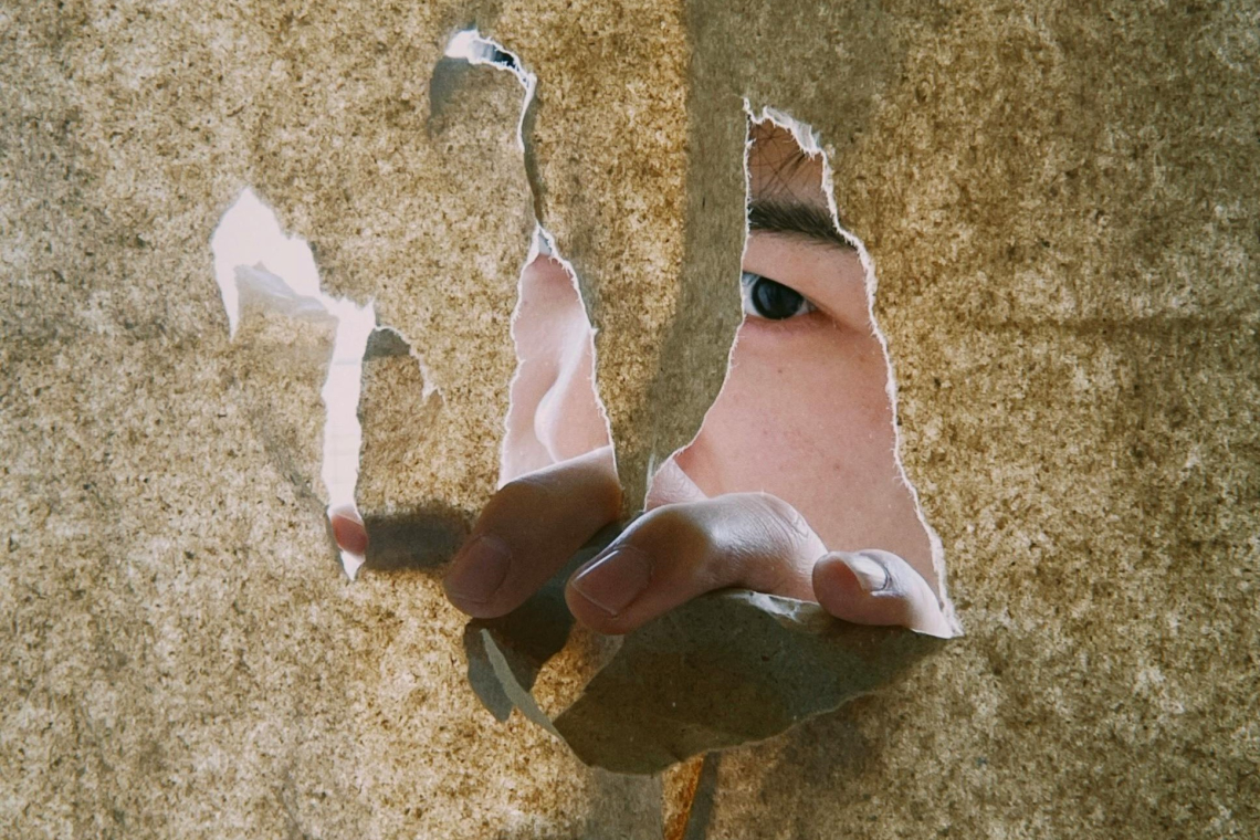 Észrevételek a T/11917 számú törvényjavaslatra – online tárgyalás közvetítés